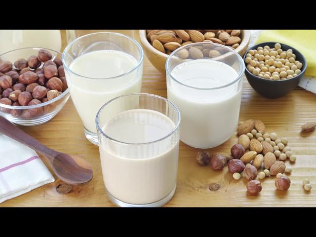 Dairy-Free Milk Alternatives - The Basics