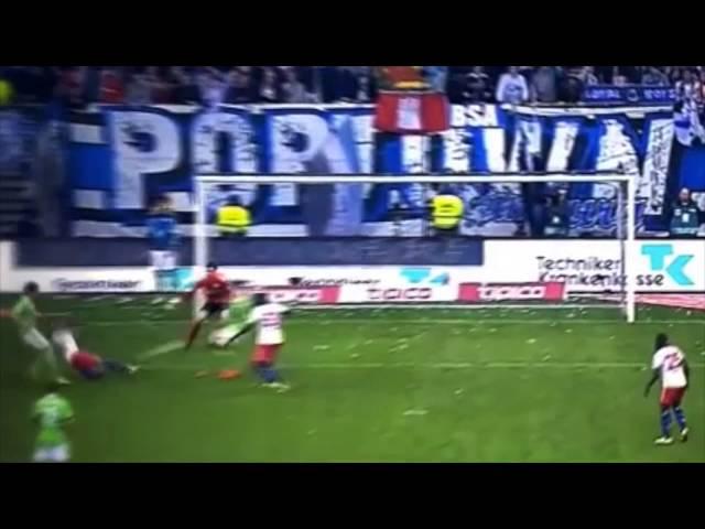 Ivo Ilicevic ● Hamburger SV ● Goals