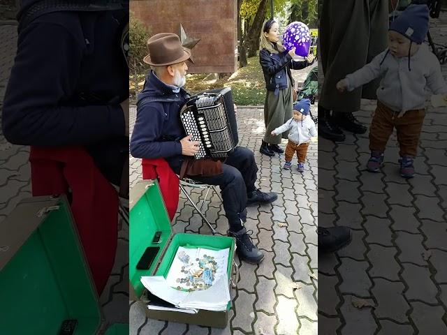 Man Playing Despacito on Accordion in Panfilov Park in Almaty