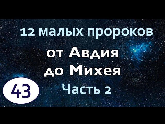 Бибельтренинг 43 | 12 малых пророков | Часть 2 | От Авдия до Михея