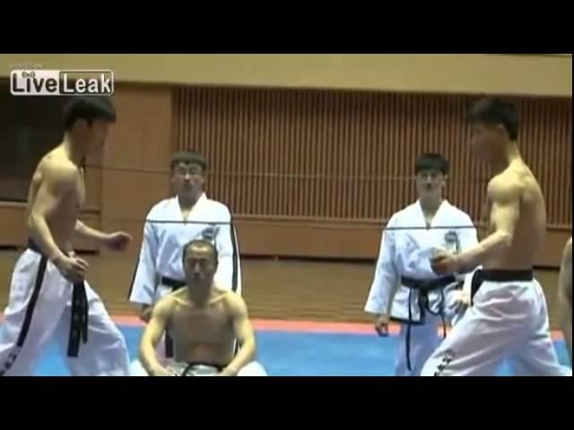 Phenomenal North Korean Taekwondo. Real martial art demonstration.