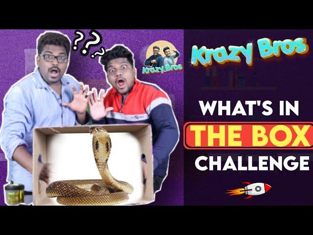 WHAT'S IN THE BOX CHALLENGE || FUNNY CHALLENGE || KRAZY BROS @KranthiVlogger @KrazyBros