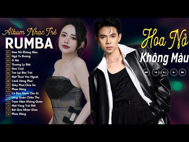 Siêu Phẩm Đạt Long Vinh Rumba Nhạc Trẻ 2024 -  Nụ Hồng Mong Manh - Tuyển Tập Nhạc Rumba Hot TikTok