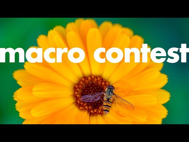 Micael’s Macro Photography Contest #1 – YOU ARE INVITED!