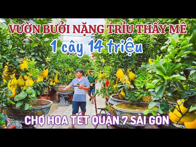 Chợ Hoa Tết Quận 7 Sài Gòn: Vườn Bưởi Nặng Trỉu Thấy Mê, Nhiều Loại Hoa Bày Bán Khắp Đường