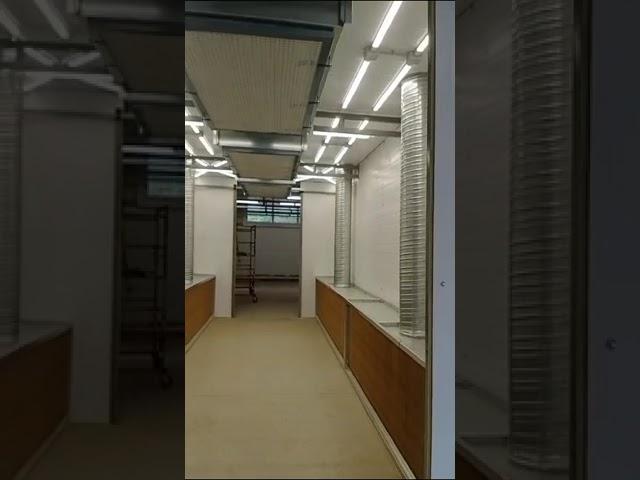 Участок покраски. Окна Столицы.