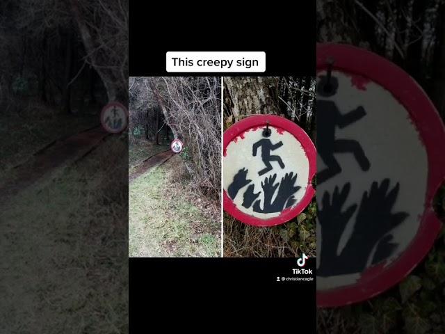 Creepy Things Found In The Woods 