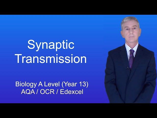 A Level Biology Revision (Year 13) "Synaptic Transmission"