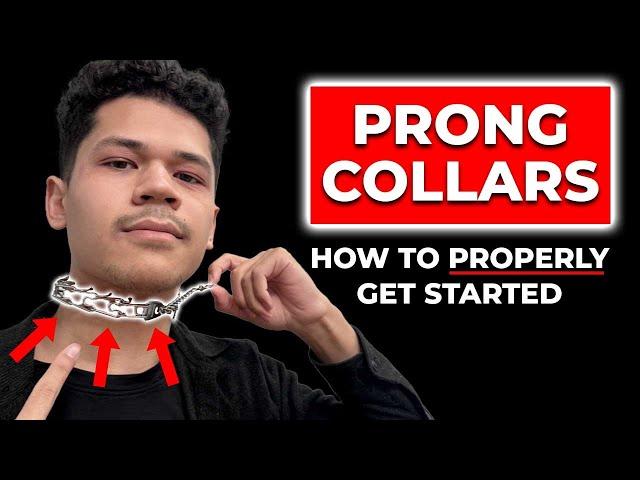 Watch This Video BEFORE Using a Prong Collar