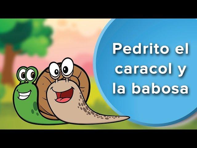 Pedrito, el caracol y la babosa | Cuento para incentivar la generosidad en los niños 