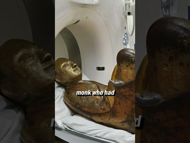 Mummified monk inside a 1000-year-old Buddha statue