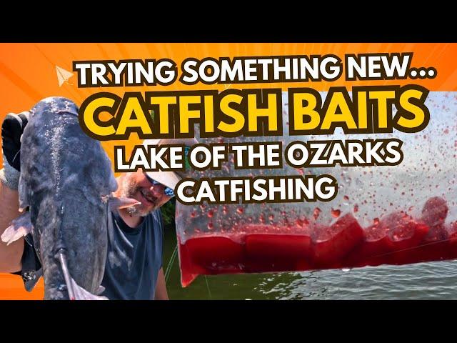 Catfishing Lake of The Ozarks Testing New Baits | Shrimp Strawberry Hotdogs with Jug Lines!