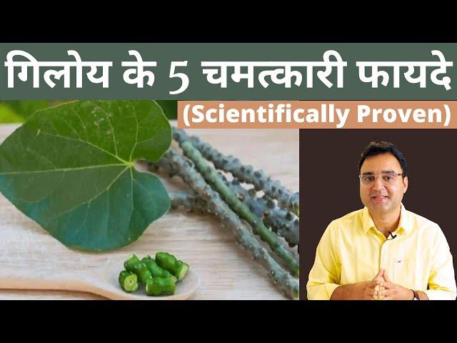 Giloy Benefits: गिलोय के 5 सबसे बड़े फायदे और प्रयोग करने की सही विधि