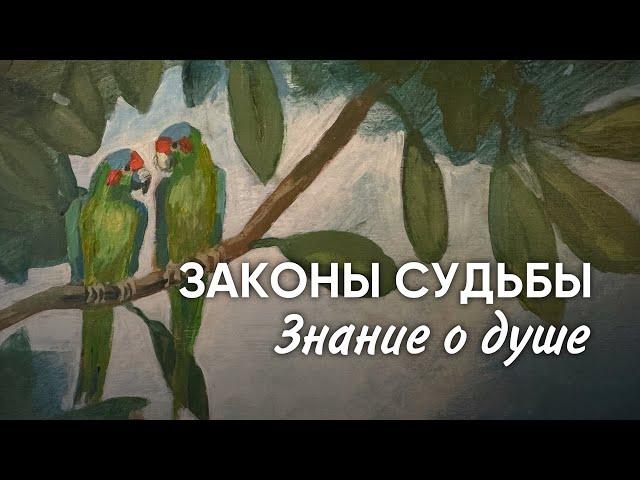 Древние знания | Рашид Муслимов в прямом эфире!