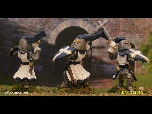 War of the Ring- Dol Amroth- Elite Swan Knights