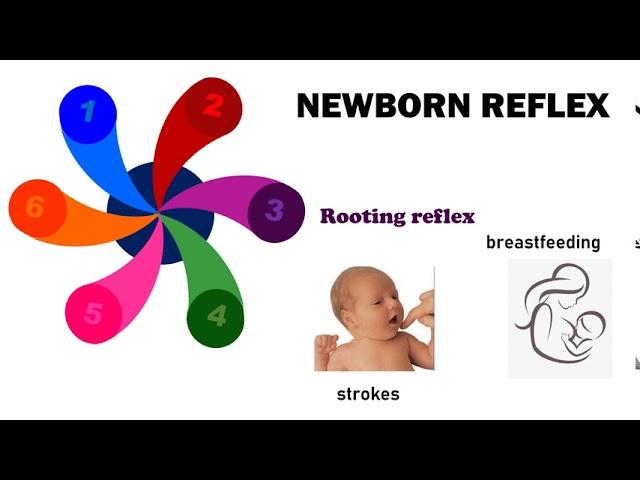 Newborn Reflexes