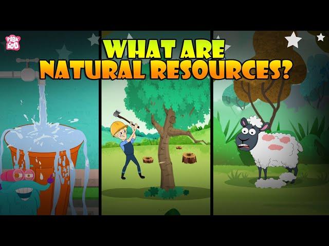 What Are Natural Resources? | Types Of Natural Resources | The Dr Binocs Show | Peekaboo Kidz