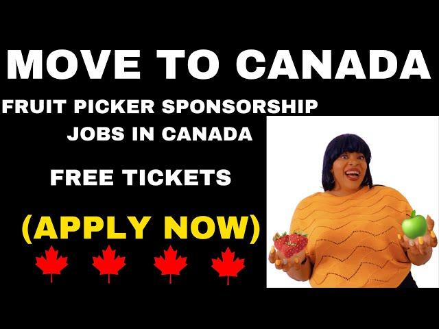 FULLY FUNDED FRUIT PICKER JOBS IN CANADA WITH VISA SPONSORSHIP!!