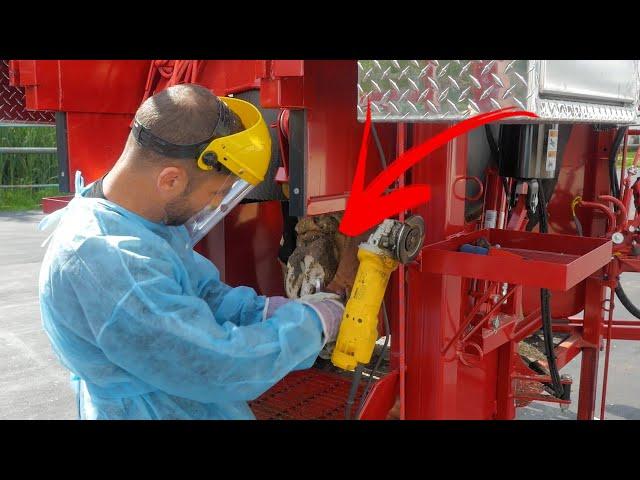 AMERICAN HOOF TRIMMING IN RUSSIA the story.. АМЕРИКАНСКАЯ ОБРАБОТКА КОПЫТ В РОССИИ история