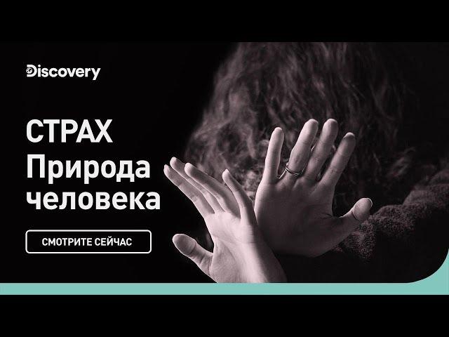 Страх | Природа человека | Discovery