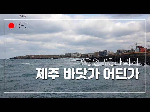2022년, 제주의 어느 바닷가에서 멍때리기