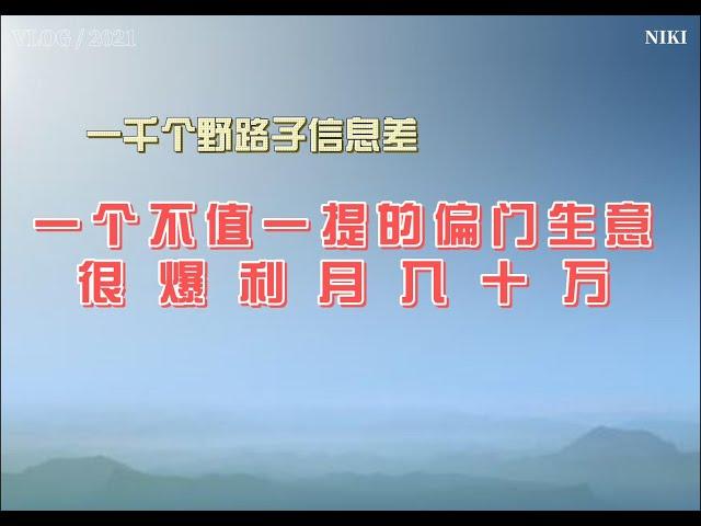 2023最新网赚 ，2023网赚 ， 赚钱项目2023，一千个野路子信息差，轻松赚钱，被动收入 财富自由，爆利月入10万