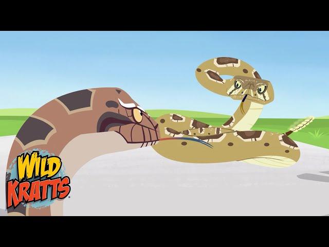 Creature Battles! | Every Creature Showdown Part 16 | New Compilation | Wild Kratts