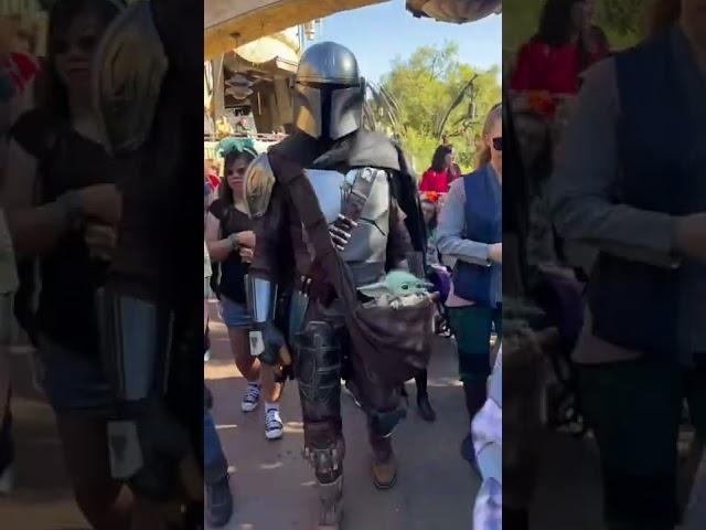 The Mandalorian and Grogu are here #disney #mandalorian