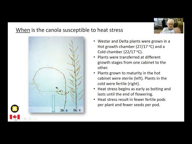 Heat and Moisture Stress - Malcolm Morrison, Agriculture and Agri-Food Canada (AAFC)