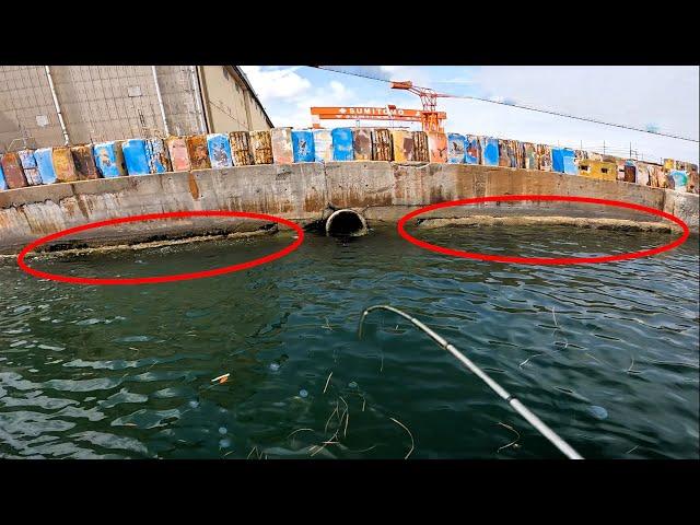 Behind the factories, I found LOTS OF OCTOPUSES【ENG SUB】