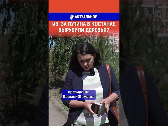 Из за Путина в Костанае вырубили деревья? Полный выпуск по ссылке в комментариях