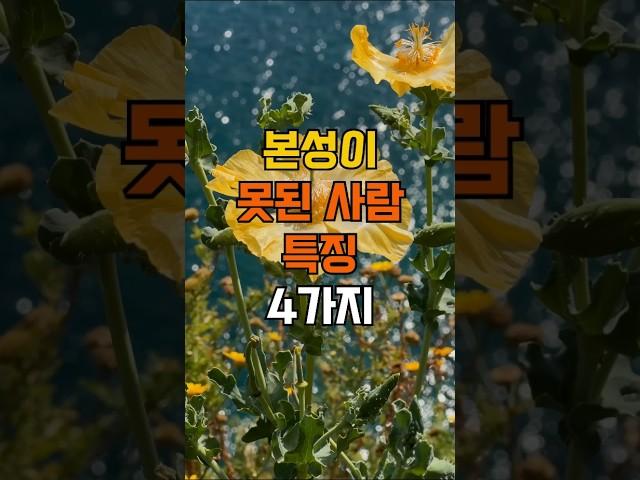 본성이 못된 사람 특징 4가지 #명언 #좋은글 #인생조언 #지혜