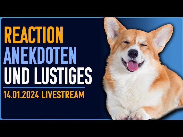 Fun Stream - Reaction auf lustige Hunde