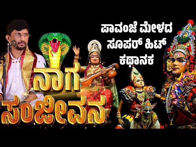 ನಾಗ ಸಂಜೀವನ | ಯಕ್ಷಗಾನ | NAGA SANJEEVANA | KANNADA YAKSHAGANA | PAVANJE MELA | PATLA SATISH SHETTY