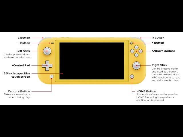 Nintendo Switch Lite Revealed | Miyamoto Thinks Nintendo Has Not Fallen Behind With Online