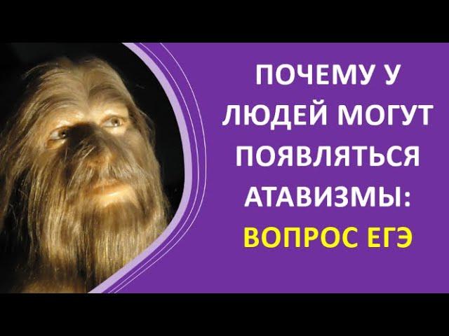 20. Почему у людей могут появляться атавизмы: вопрос ЕГЭ