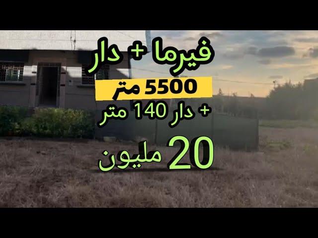 فيرما مجهزة 5500 متر بالدر + ارض 400 متر فيها منزل كبير 20 مليون