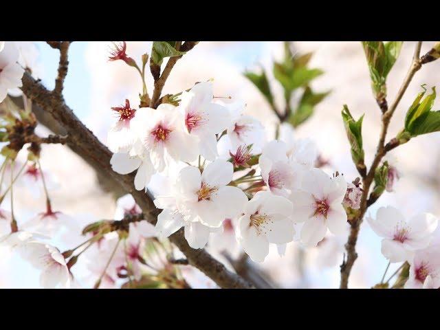 아이엠스타코리아/아이엠스타힐링가요,가요스케이치 "131회 편"