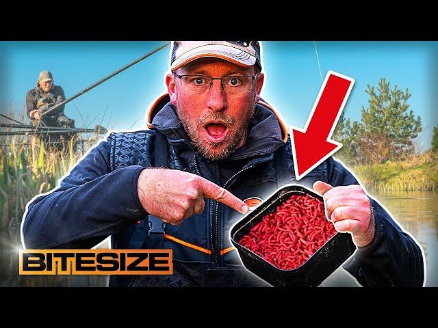 Andy Bennett's F1 Maggot Fishing Secrets! | Guru Bitesize #056