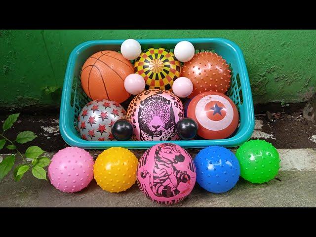 Mencari Bola Pelangi, Bola Basket, Bola Warna Warni, Bola Duri, Bola Besar dan Bola Kecil di Halaman