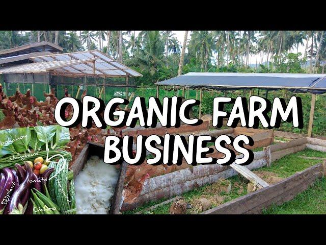 How To Earn In Organic Farming? Save Money By Knowing The 2 Major Focus In Organic Farming 