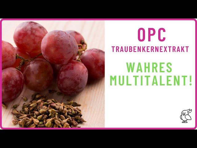 OPC TRAUBENKERNEXTRAKT EIN WAHRES MULTITALENT 5 Wirkungen, die du kennen solltest!