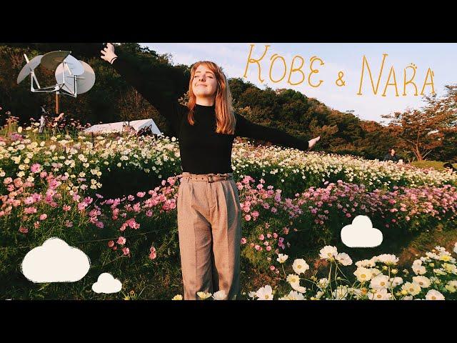 vlog // a magical flower field in Kobe & deer in Nara 