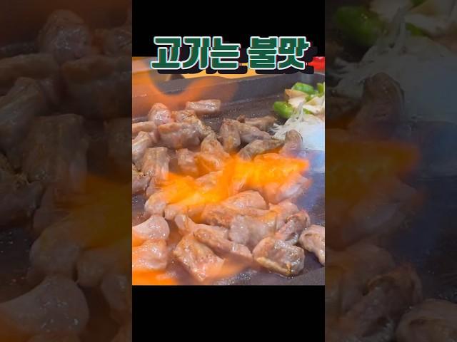 고기에 불 쏘기  불과 함께 빠르게 익어가는 중 #shorts