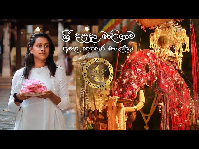 Kandy Esala Perahera 2019 | Sri Dalada Maligawa | Sri Lanka