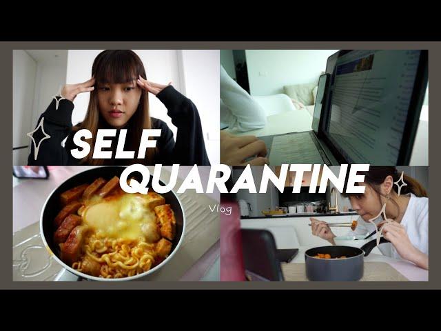  Quarantine vlog: online uni, cooking and cleaning my apartment!