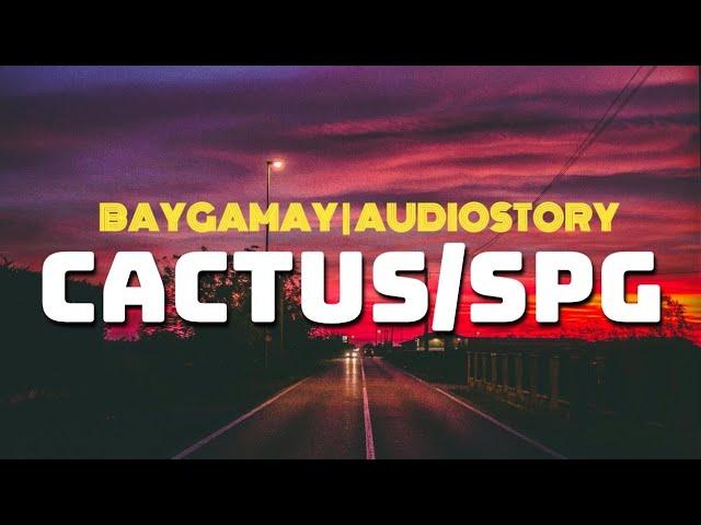 Ang wati, ang cactus, ang iring | Audiostory no.53 | bay gamay