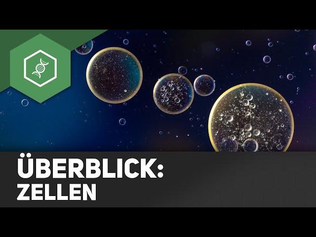 Zellen - Überblick