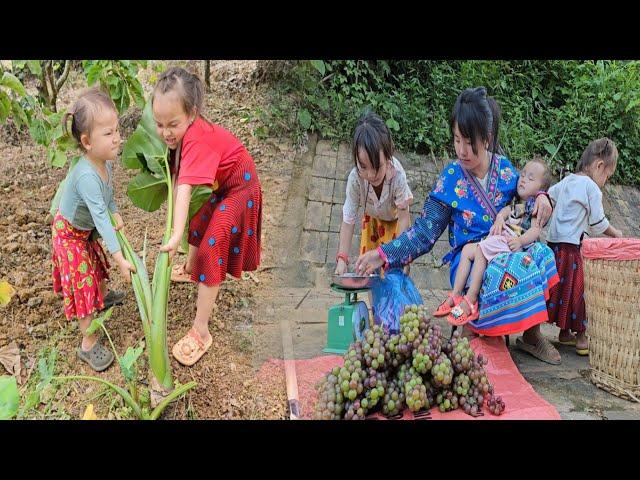 Facing the Challenge: The difficult days of a single mother with three young daughters - Sung Thi So