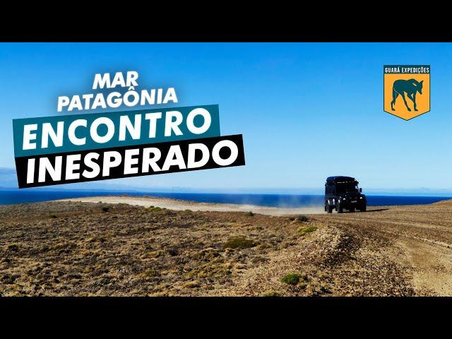 Um encontro inesperado - Mar Patagônia - episódio 01